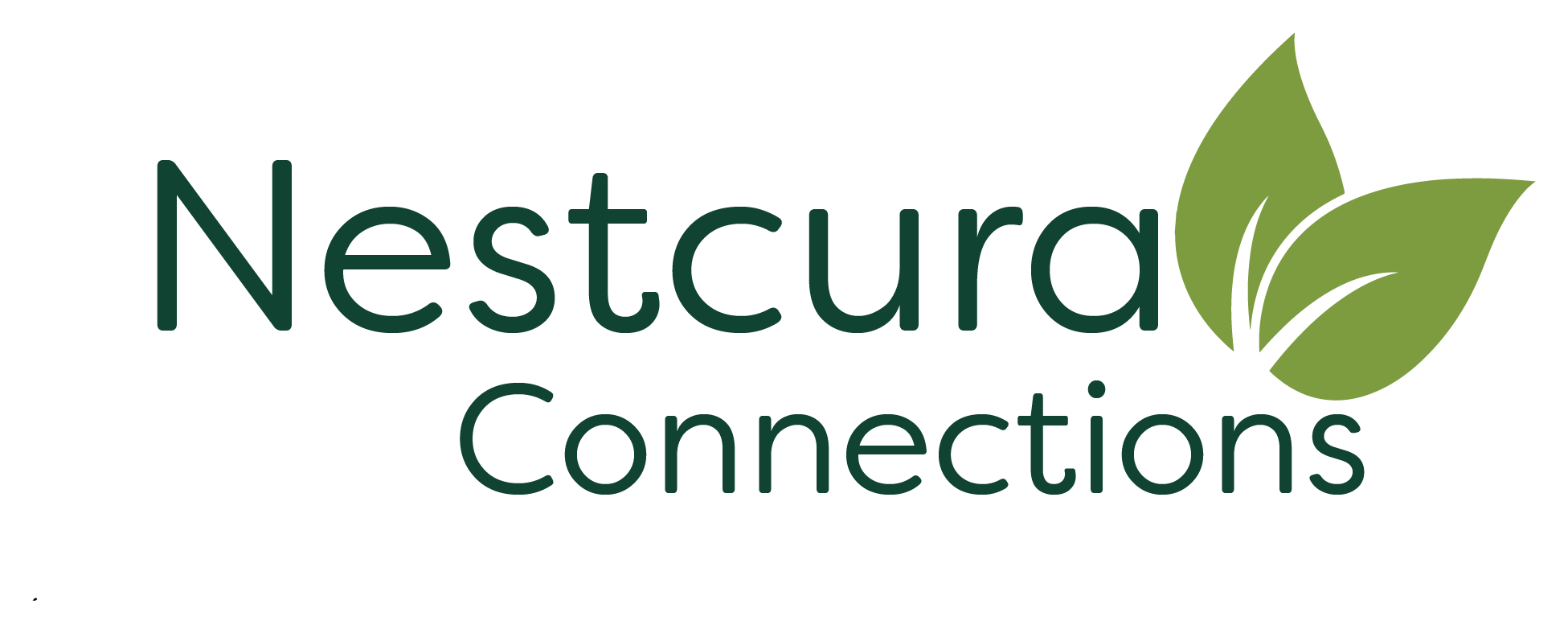 Nestcura Connections